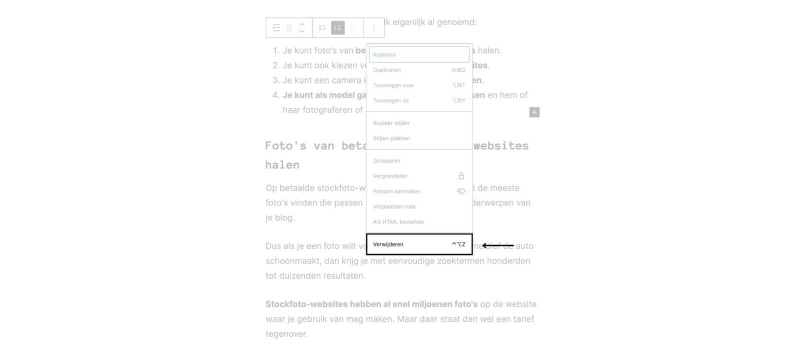 Je opsomming verwijderen in Wordpress.