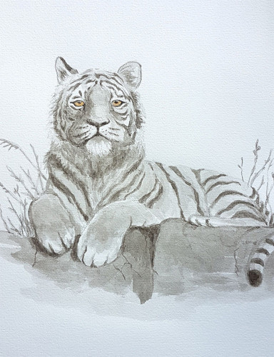 Tiger ink painting commission