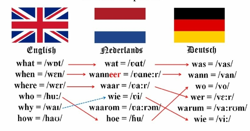 langues germaniques apprendre le néerlandais