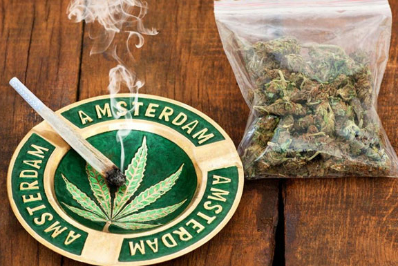 Le cannabis légal aux Pays-Bas