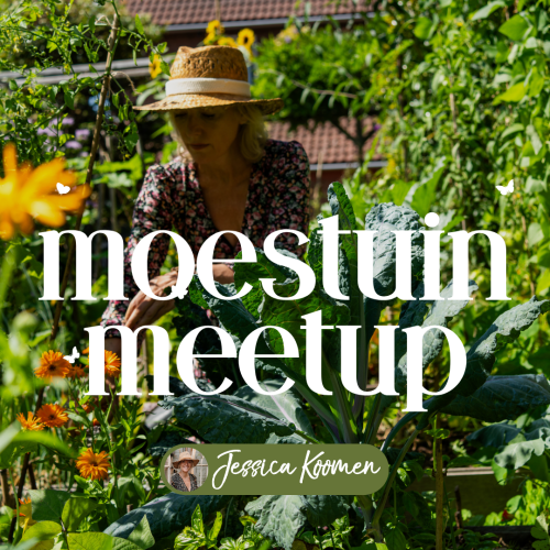 Moestuin Meetup