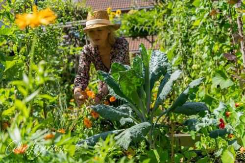 Jessica Koomen - thuis in de Moestuin