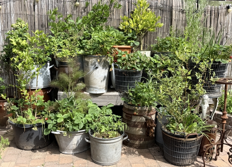 moestuintip