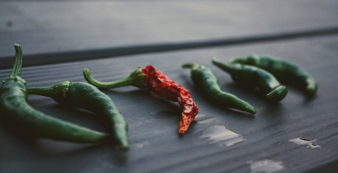 pepers oogsten, kleuren en drogen