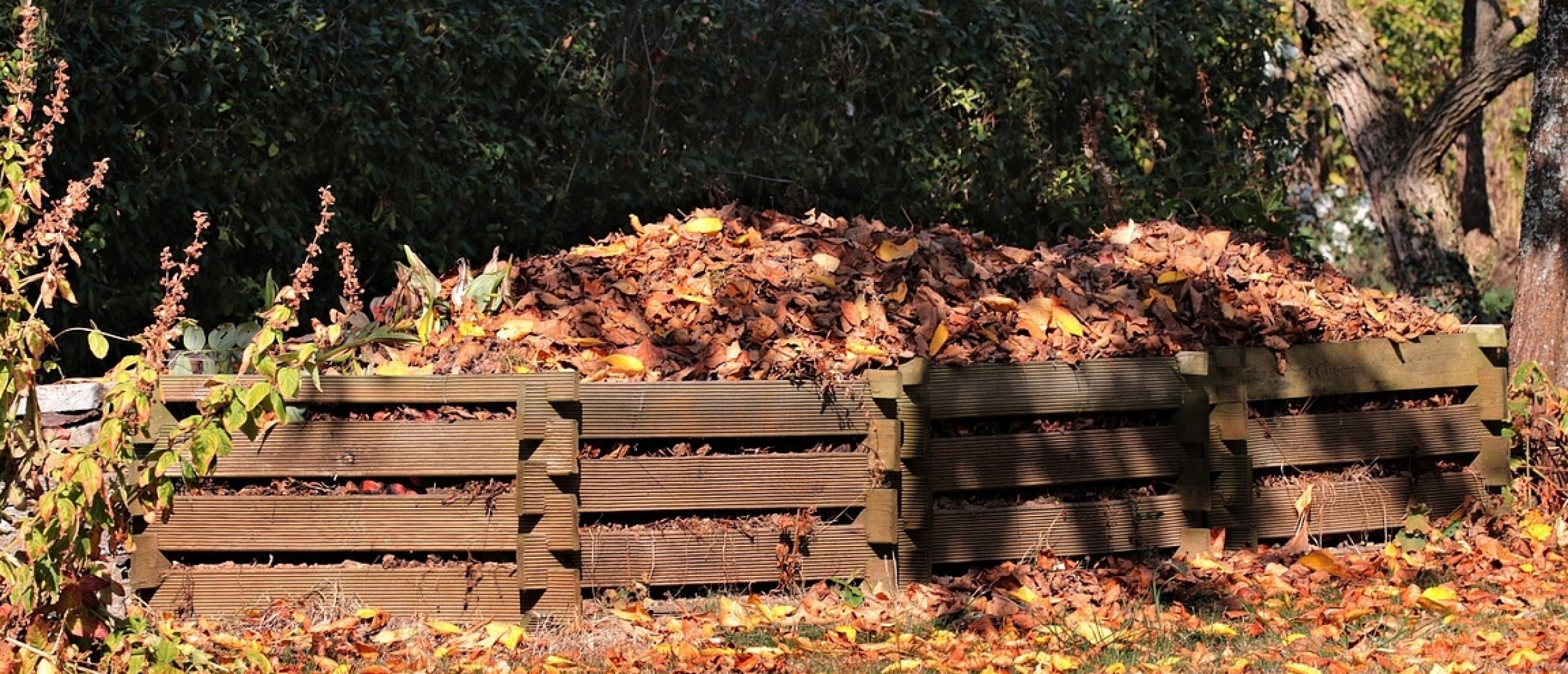 Composteren - de diepte in deel II Koolstof: stikstofverhoudingen eenvoudig gemaakt