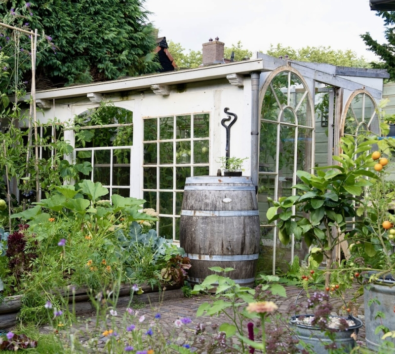 kas bodem verzorgen winter