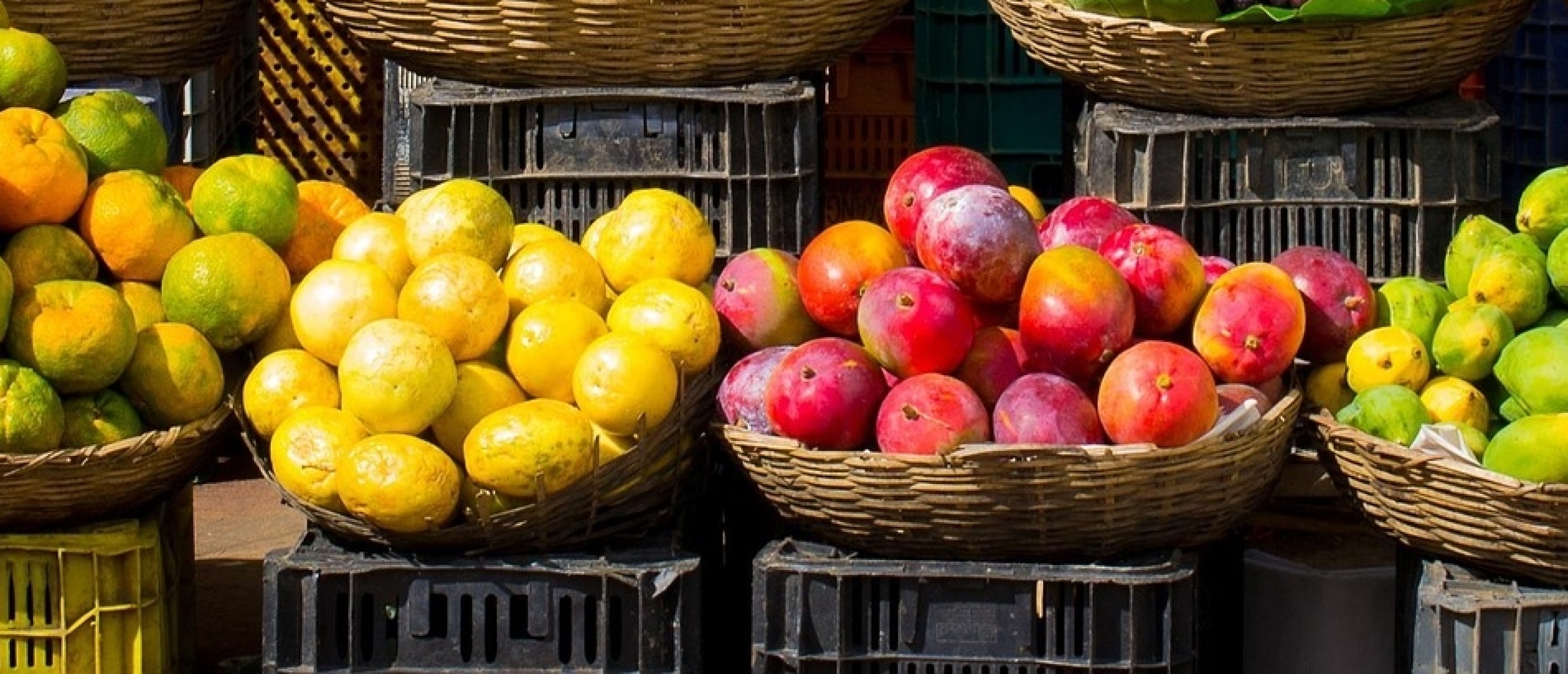 budgettips biologische boodschappen