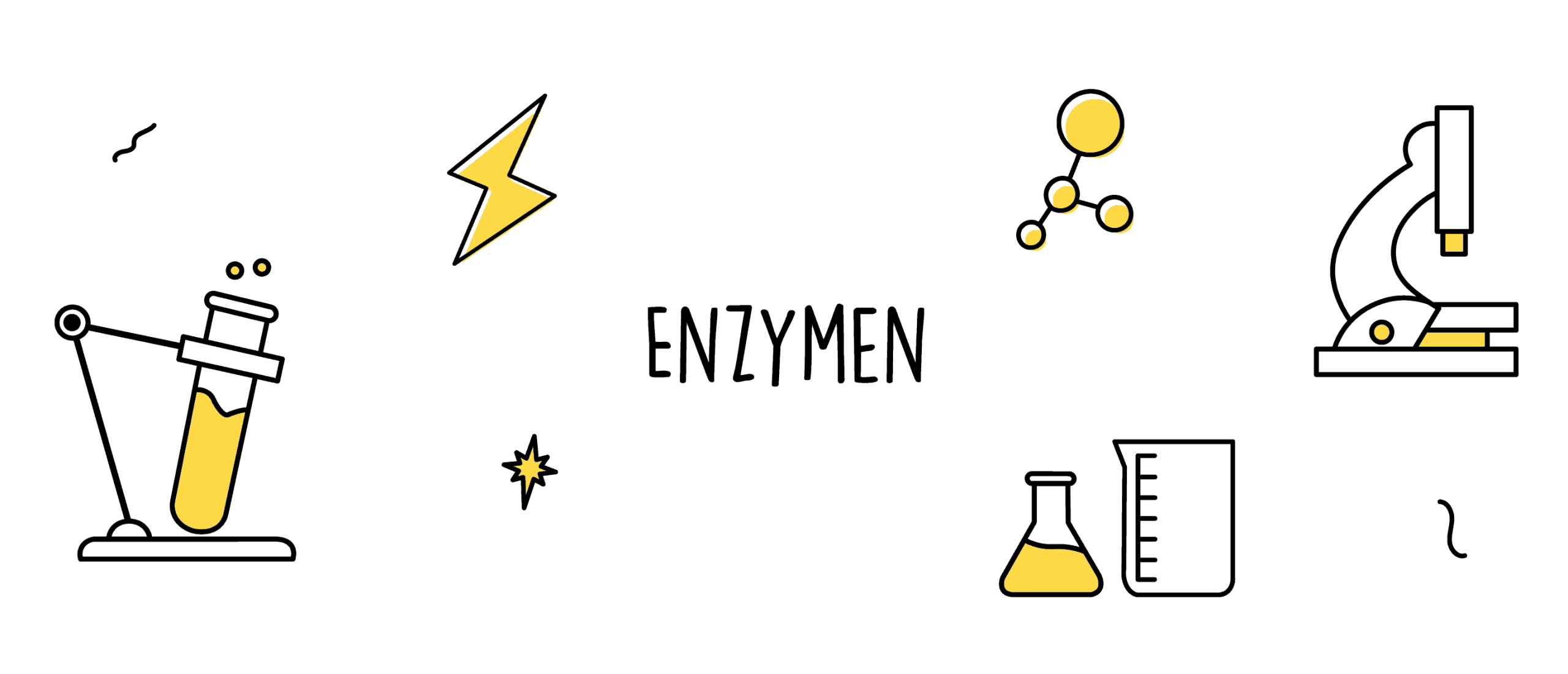Enzymen