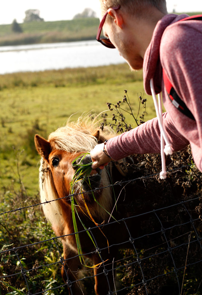 Everdingen-natuur-Sjoerd