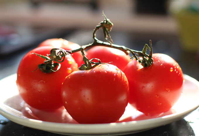 venkel-tomaten-salade-recept-gezond2