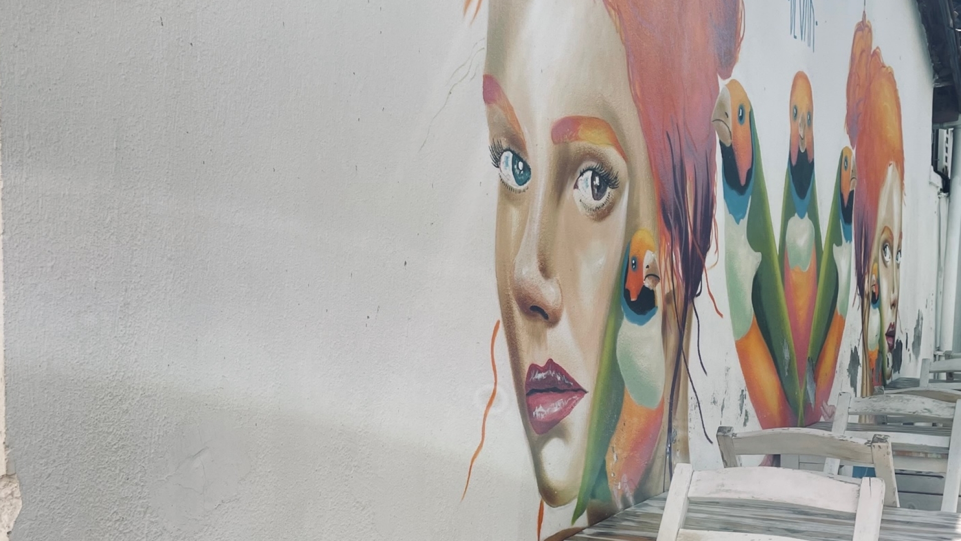 muurschildering street art kleurrijk vrouw dieren