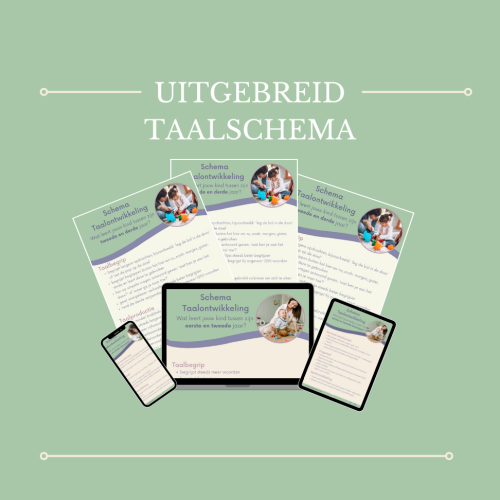 Uitgebreid Taalschema