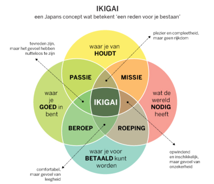 Ikigai | De Betekenis van Ikigai, het model en het boek!