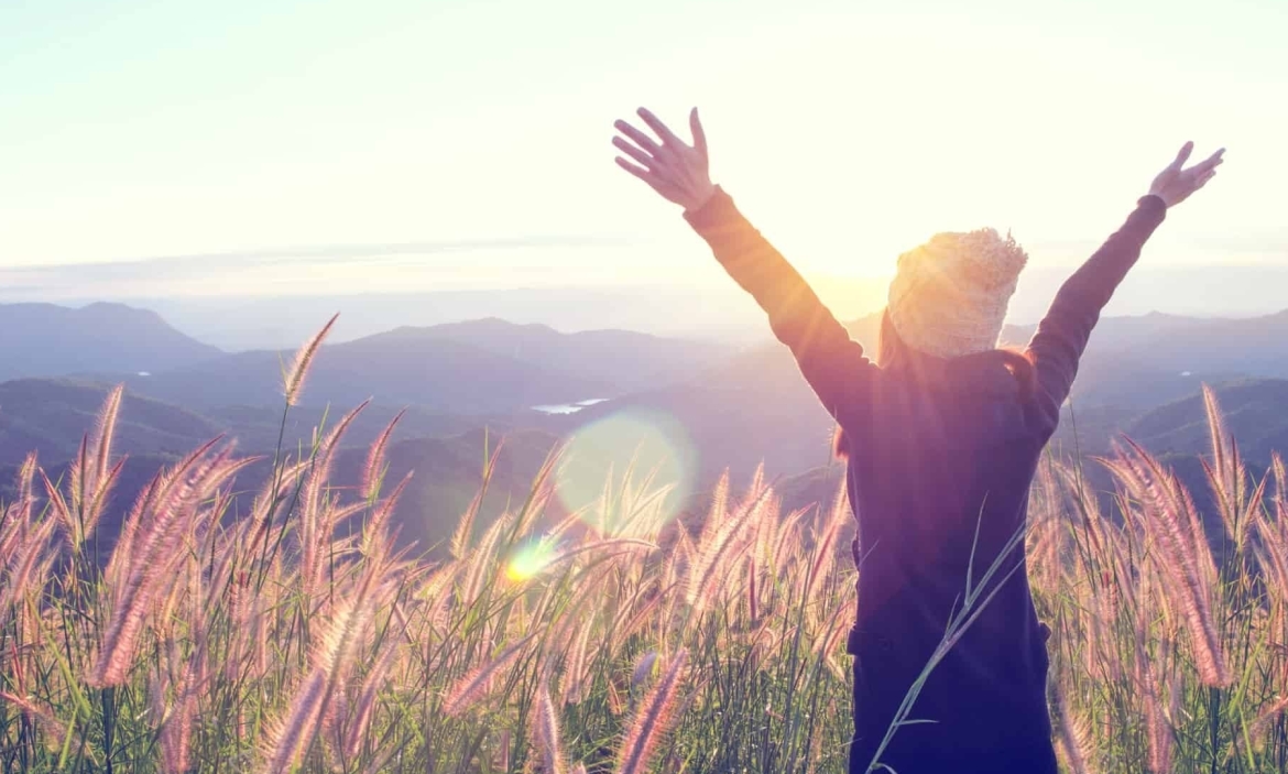 Ikigai | De Betekenis van Ikigai, het model en het boek!