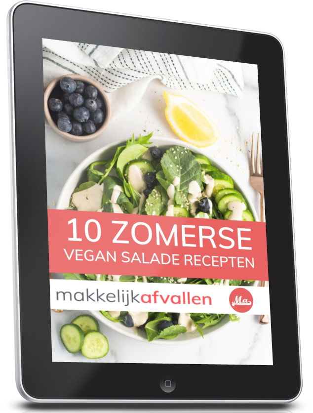 10 zomerse vegan salade recepten Zomer Slank 2021 Korting Fit in 4 weken Makkelijk Afvallen Review Niels Bosman