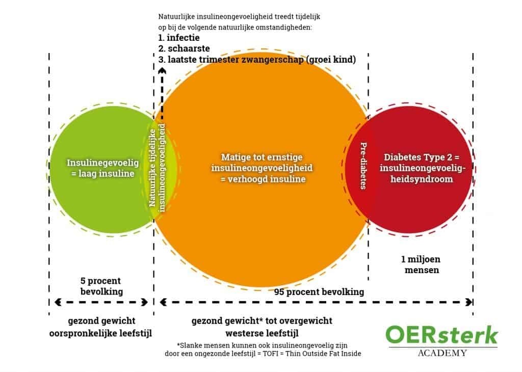 De Diabetes Revolutie Richard de Leth OERsterk