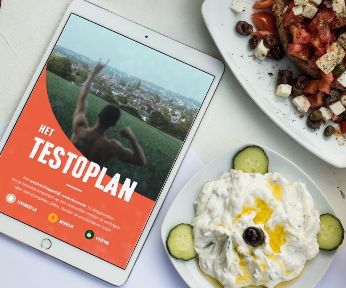 Het Testoplan