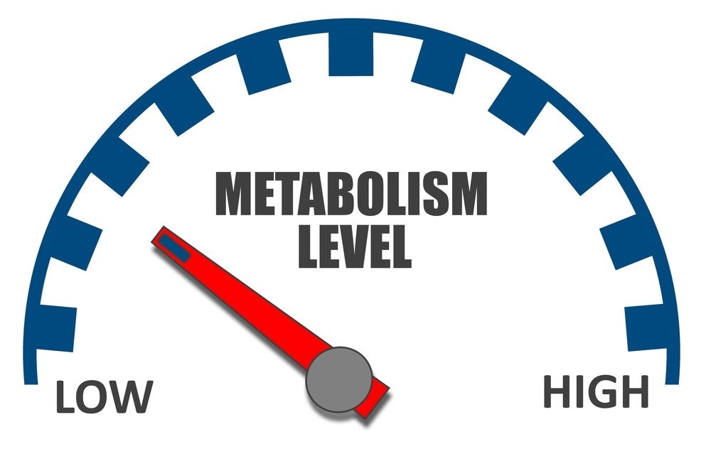 Metabolisme Betekenis en #3 Tips Metabolisme Verhogen!