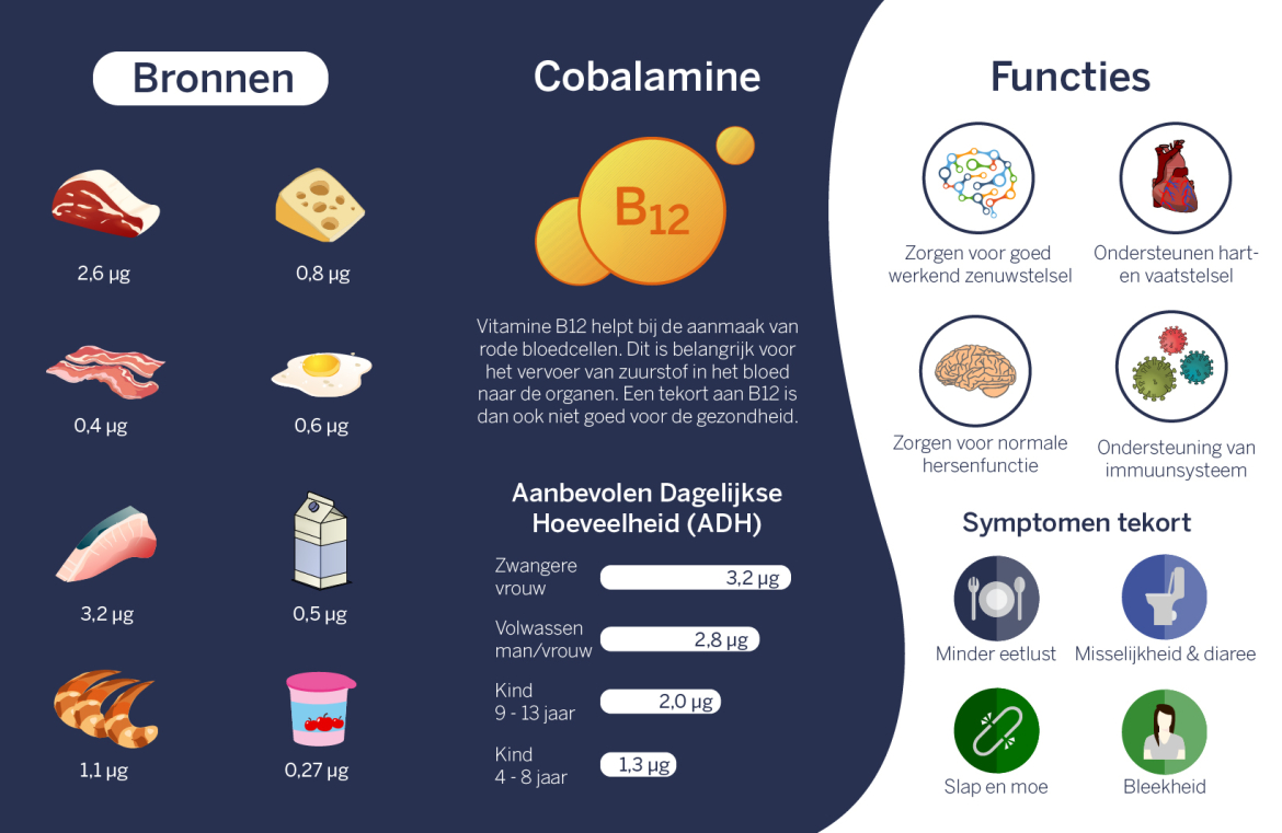 Vitamine B12 | Beste Oplossing bij Vitamine B12 tekort! Vitamine B12 | Beste Oplossing bij Vitamine B12 tekort!