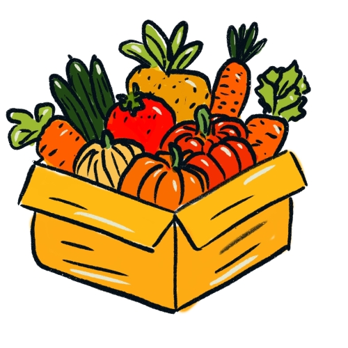 Afvallen virtuele maagband Schoonhoven