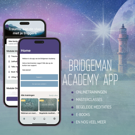Bridgeman Academy