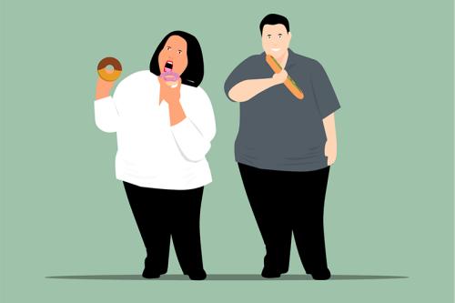 afvallen, overgewicht, obesitas,  virtuele maagband