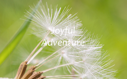 Joyful Adventure