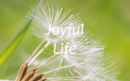 joyful life