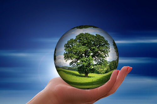 wandelcoaching groningen