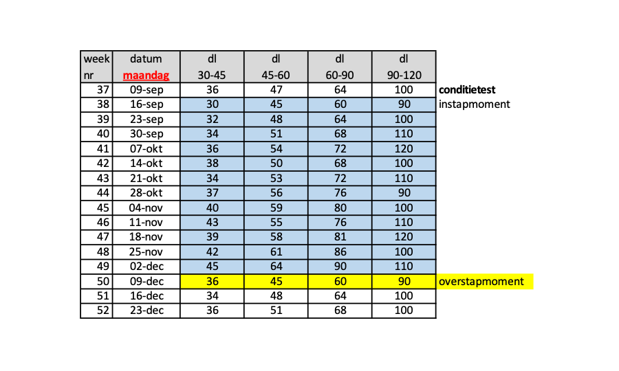 12 weken schema JustGoo