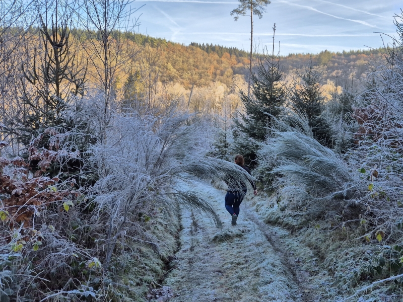 JustGoo trailweekend