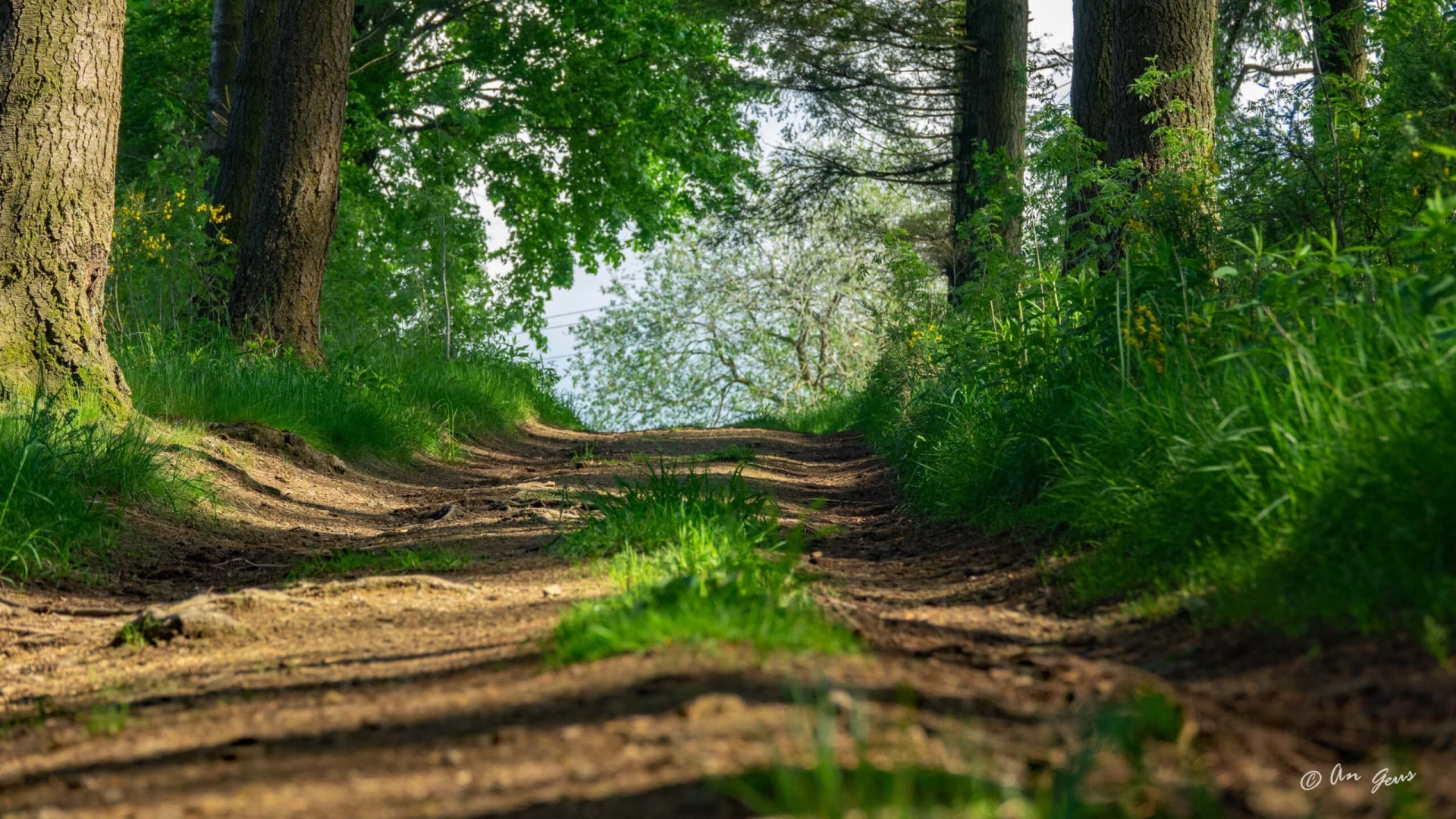 JG TrailRun TrailWalk TrailHike