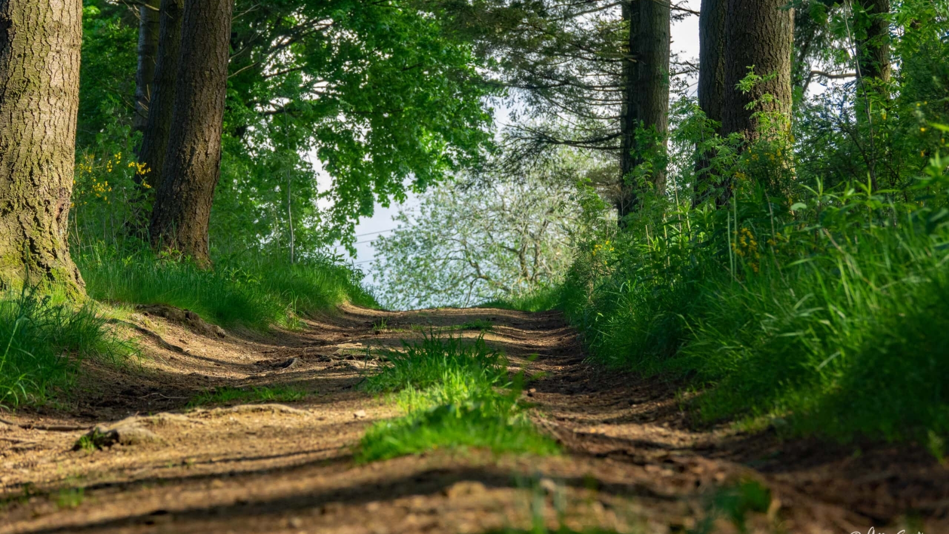 JustGoo TrailWeekend JG TrailRun TrailWalk TrailHike