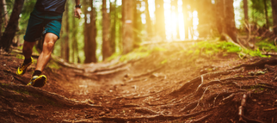 Hardlopen in de natuur groepstraining
