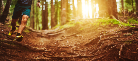 Hardlopen in de natuur groepstraining