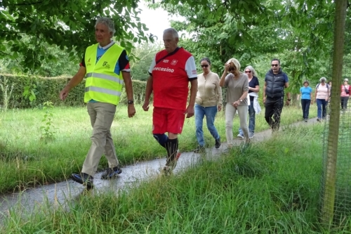 FitStap wandeltraining