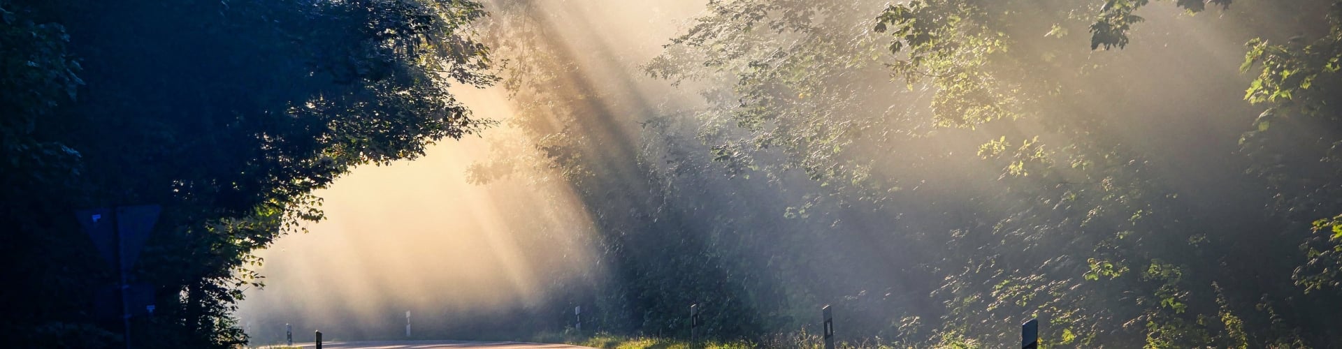 je eigen weg vinden, licht schijnen in het licht staan