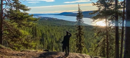 Zweedse wildernis hike