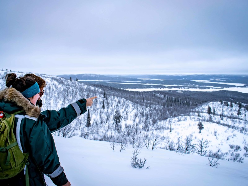 Winters landschap Kiruna