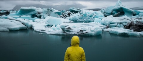 Vliegen: hoe slecht is dat voor het milieu? Plus 3 alternatieven