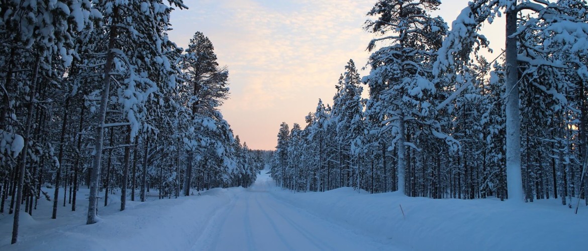 Top 5 activiteiten in Lapland