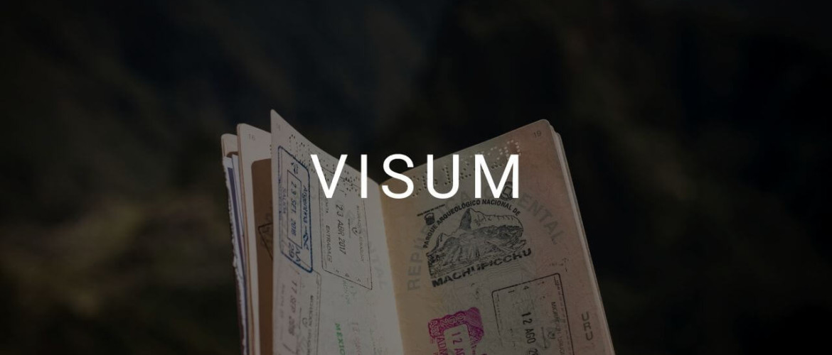 Wat is een visum?