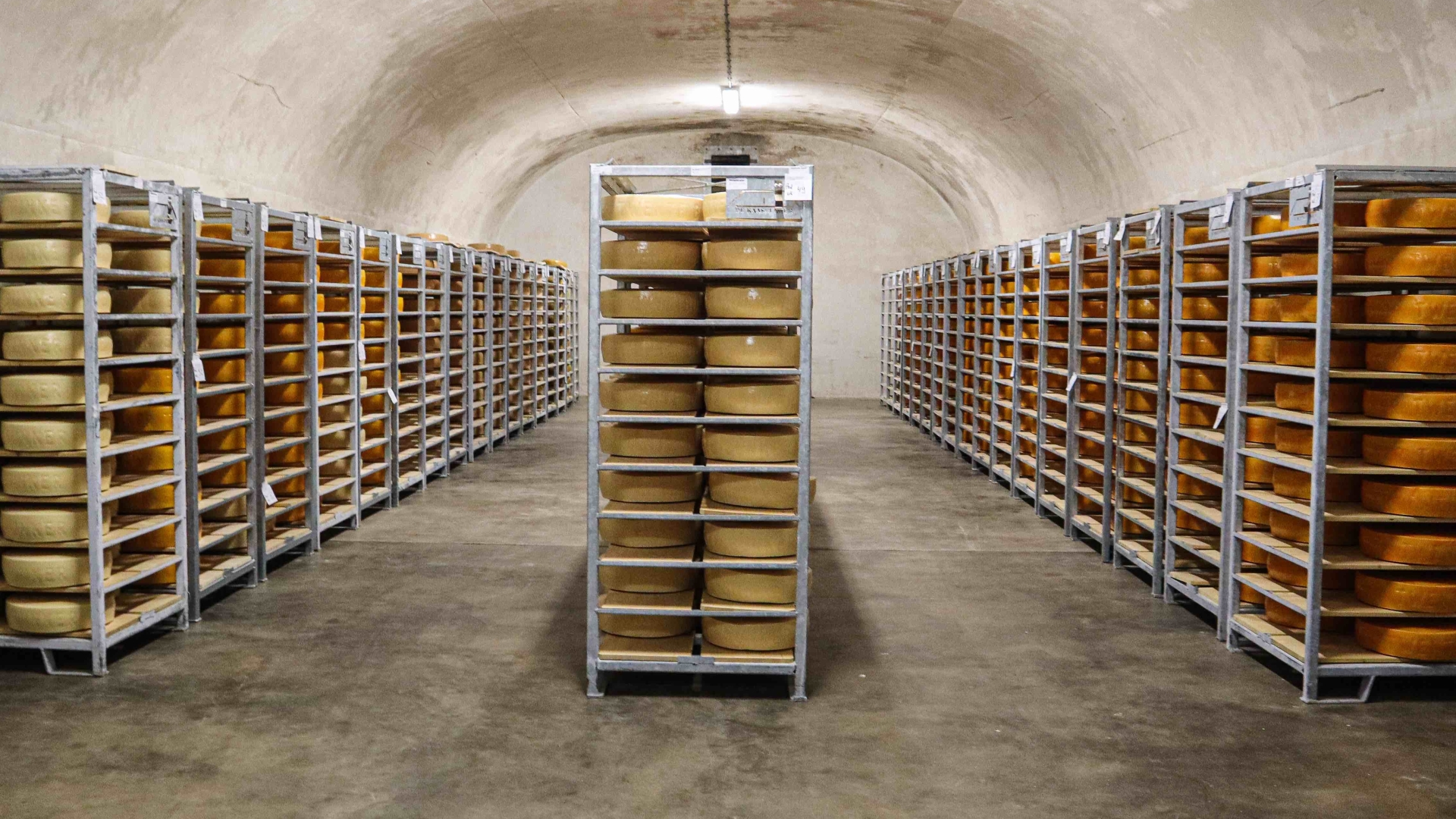 Bunkerkaas in onze bunkers Bunkerkaas in onze bunkers