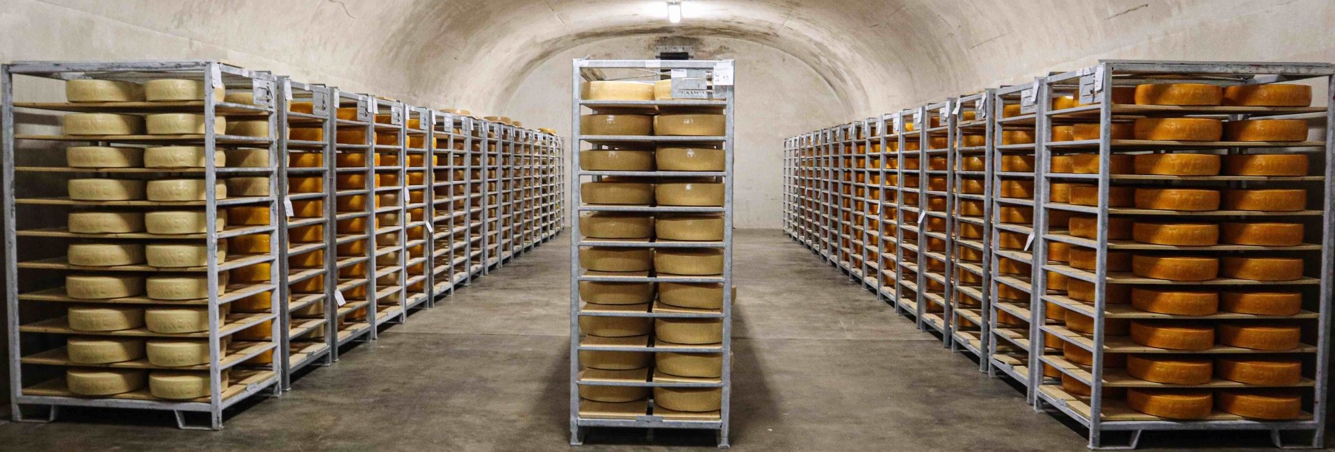 Bunkerkaas in onze bunkers Bunkerkaas in onze bunkers