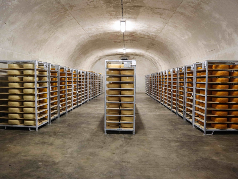 Bunkerkaas in onze bunkers
