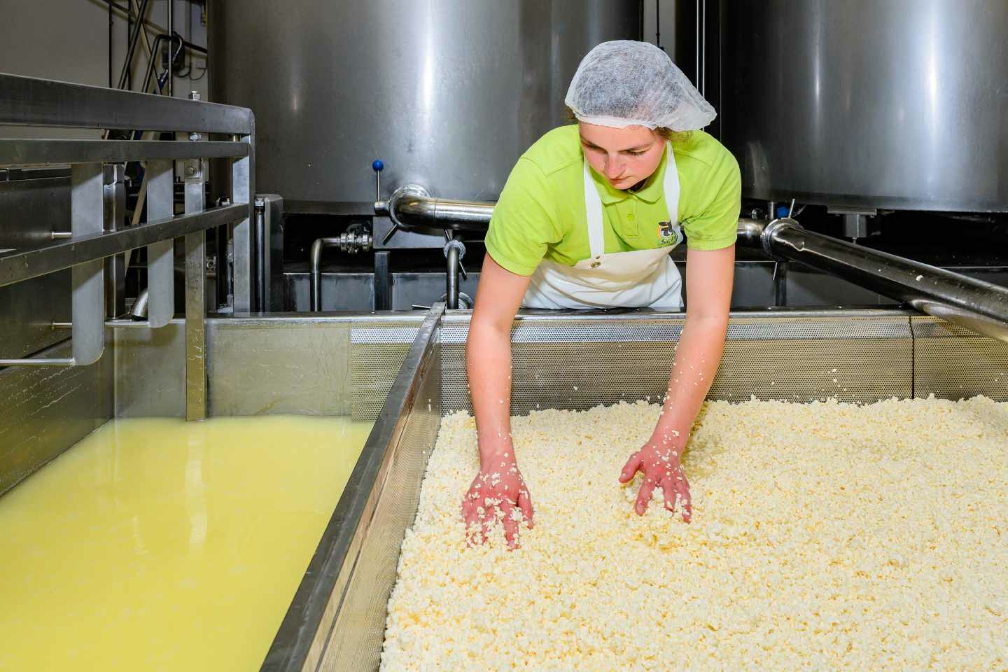 Kaas maken bij Kaasboerderij Schep