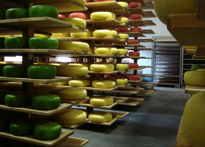 Kaas maken van Kaasboerderij Verweij
