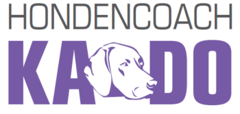 kado hondencoach 2