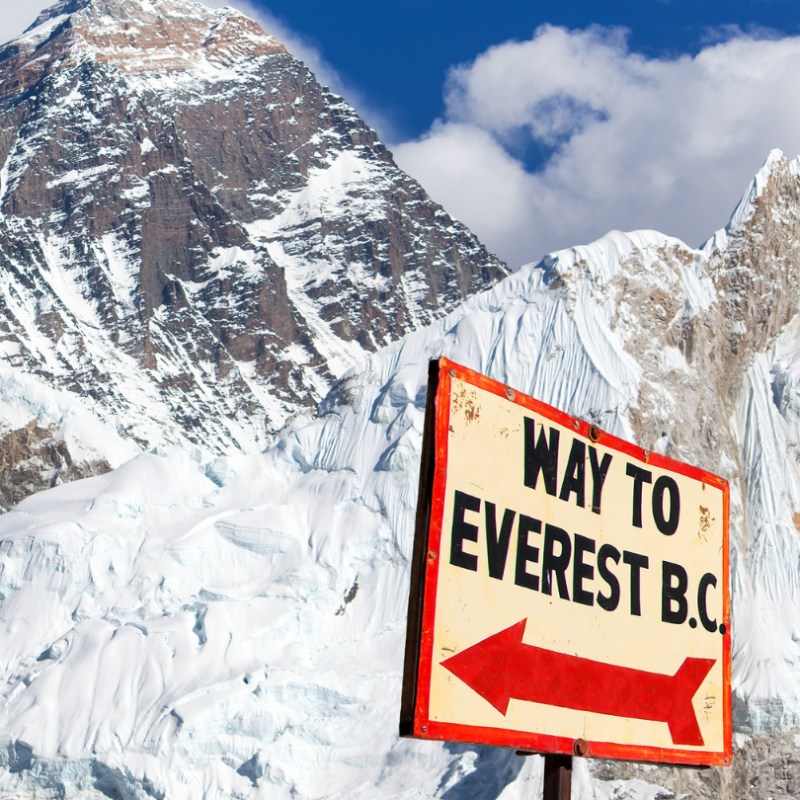 Is er leven op de Mount Everest?