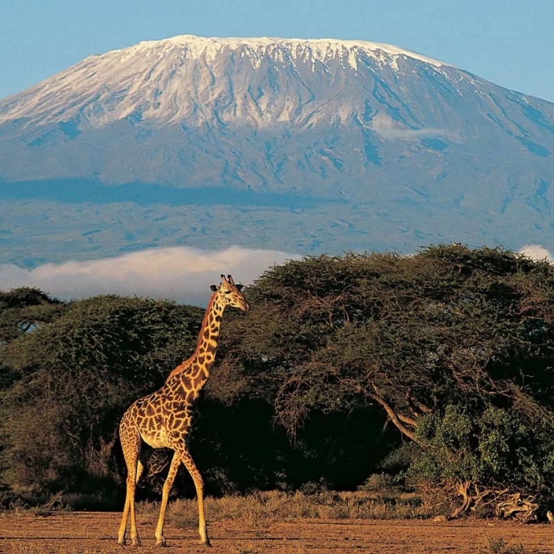 Hoeveel kost de Kilimanjaro beklimmen